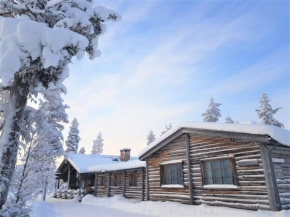 Tunturipöllö / Lapland, Saariselkä